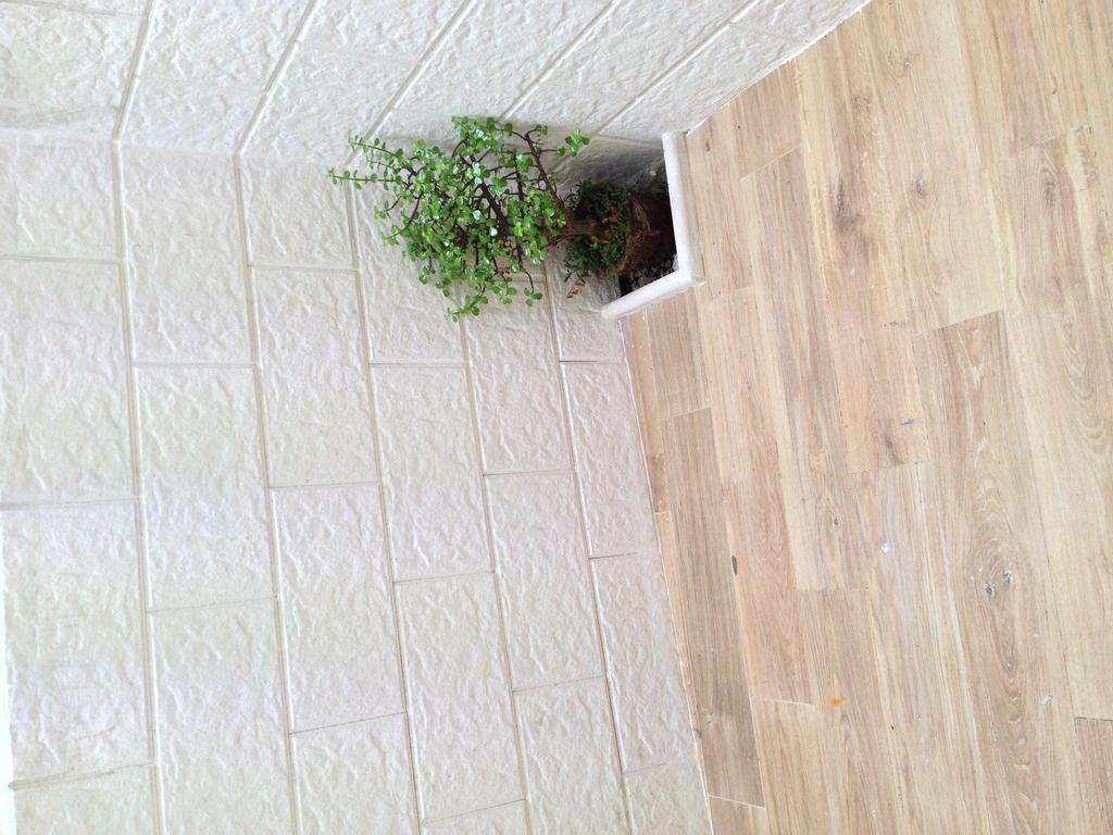 Casa Petra - Mini Open Space Διαμέρισμα Μπρίντιζι Εξωτερικό φωτογραφία
